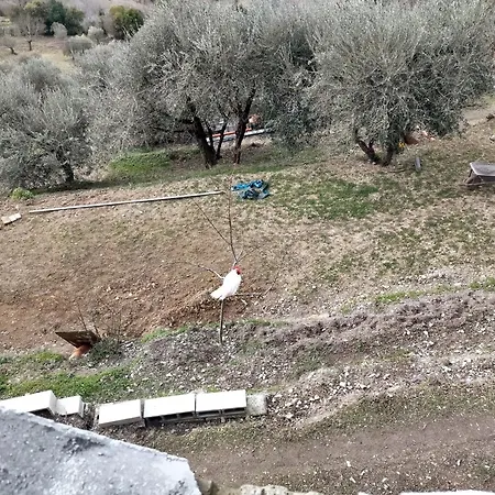 Apartman Charming With Mountain View In 45 M² Terrace