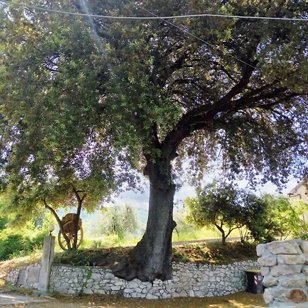 Charming With Mountain View In 45 M² Terrace Apartment *